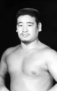 ミツ平井のプロマイド